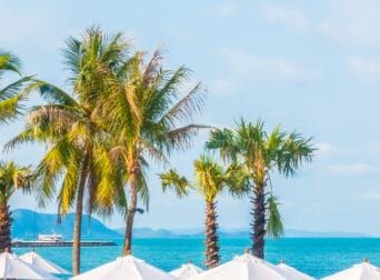 أجمل شواطئ مصر